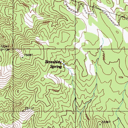 Topographic Map of Streshley Spring, NV