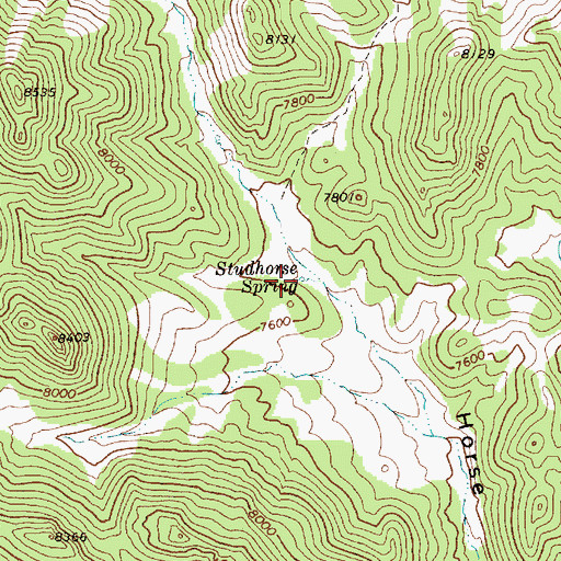 Topographic Map of Studhorse Spring, NV