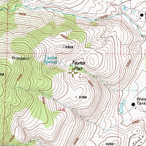 Topographic Map of Taylor Flat, NV