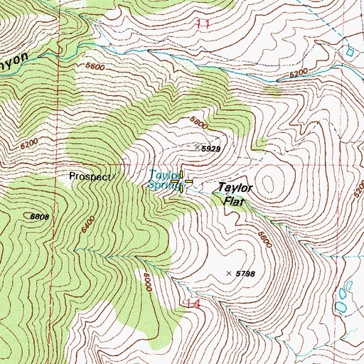 Topographic Map of Taylor Spring, NV