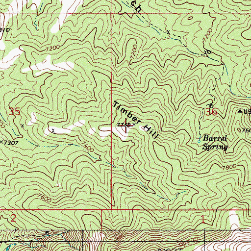 Topographic Map of Timber Hill, NV