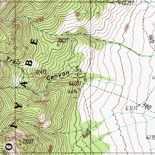 Topographic Map of Trail Canyon, NV
