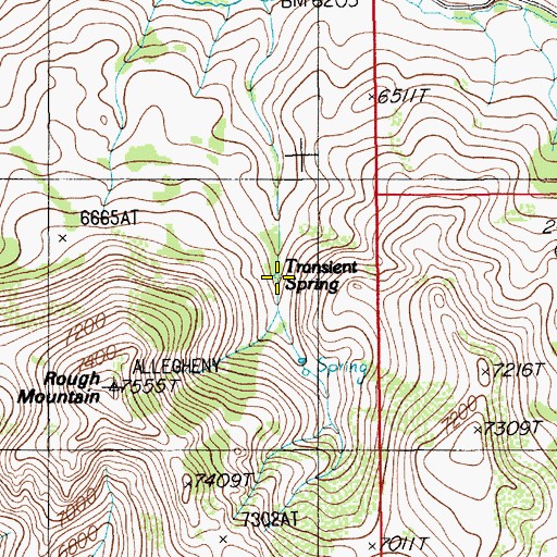 Topographic Map of Transient Spring, NV