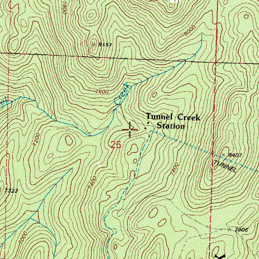 Topographic Map of Tunnel Creek Station, NV