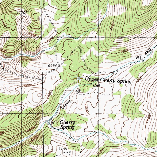 Topographic Map of Upper Cherry Spring, NV