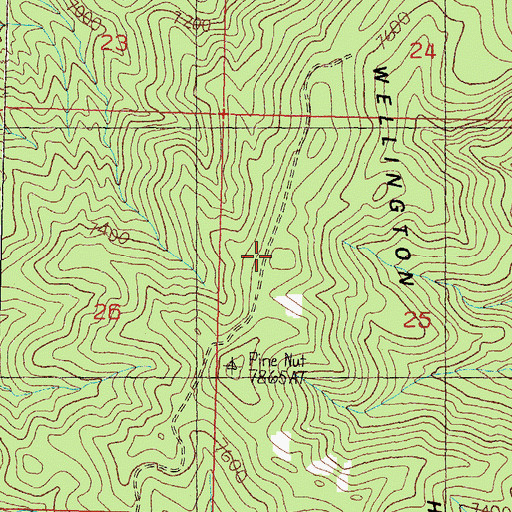 Topographic Map of Wellington Hills, NV