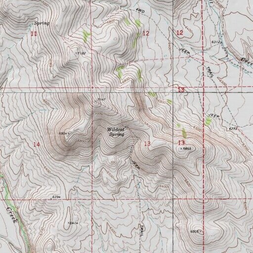 Topographic Map of Wildcat Spring, NV