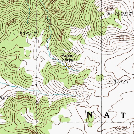 Topographic Map of Aspen Spring, NV