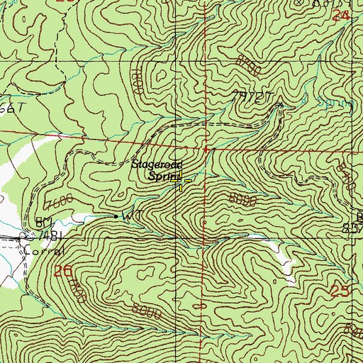 Topographic Map of Stageroad Spring, NV