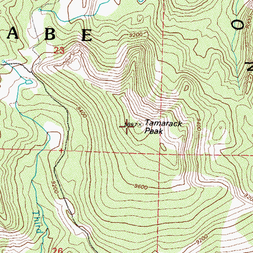 Topographic Map of Tamarack Peak, NV