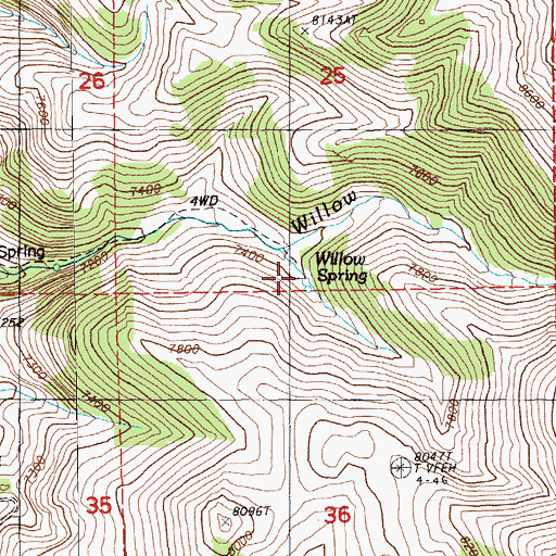 Topographic Map of Willow Spring, NV