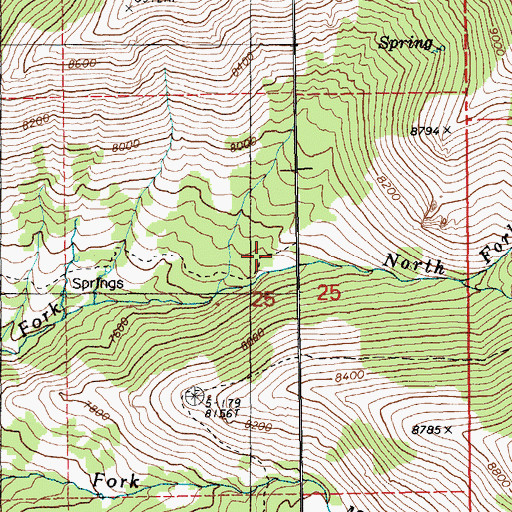 Topographic Map of Smith Creek Trail, NV