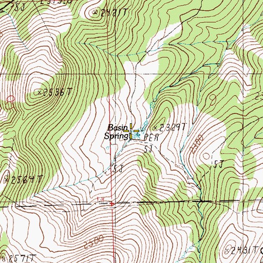 Topographic Map of Basin Spring, NV
