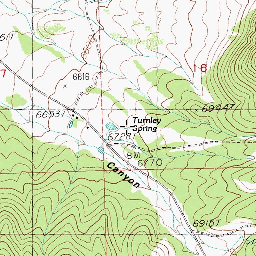Topographic Map of Turnley Spring, NV