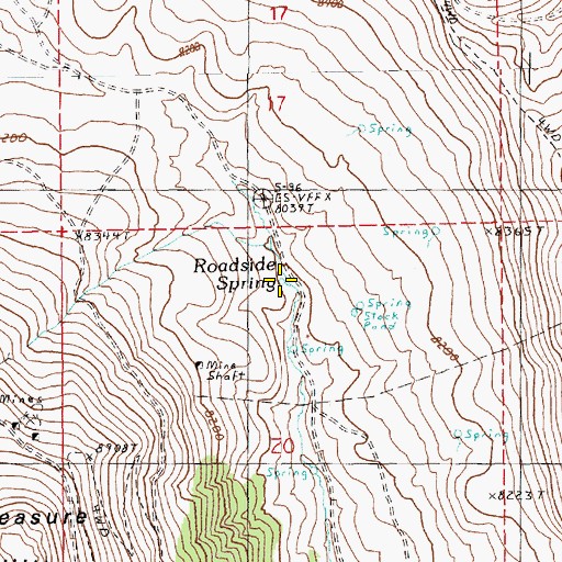 Topographic Map of Roadside Spring, NV