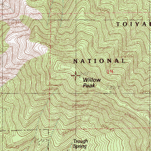 Topographic Map of Willow Peak, NV