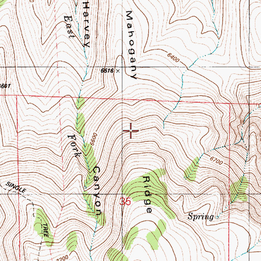 Topographic Map of Mahogany Ridge, NV