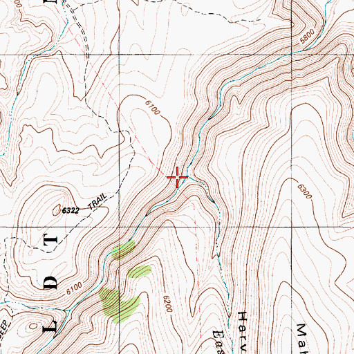 Topographic Map of Harvey Canyon, NV