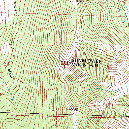 Topographic Map of Snowflower Mountain, NV