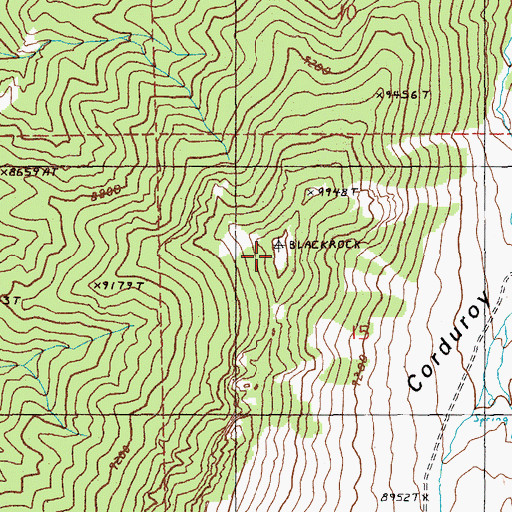 Topographic Map of Blackrock, NV
