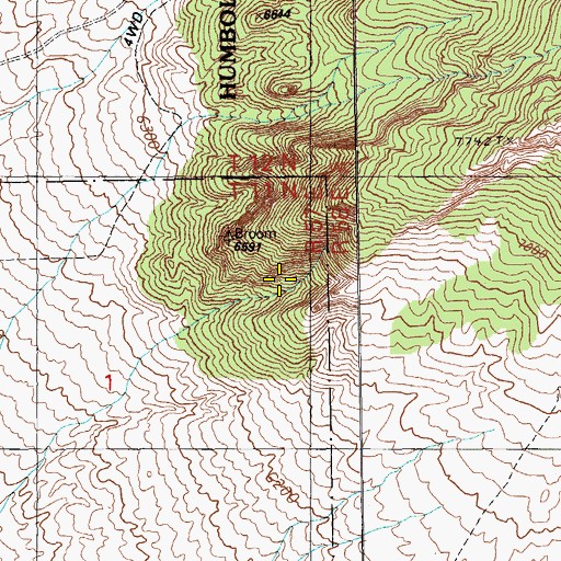 Topographic Map of Blue Spring, NV