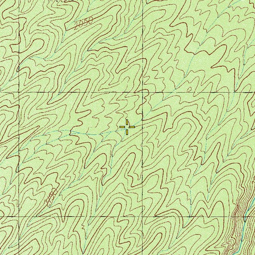 Topographic Map of Two Spring, NV