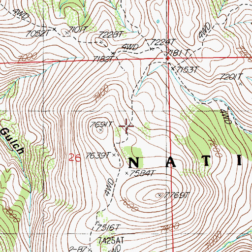 Topographic Map of Wood Gulch Mine, NV