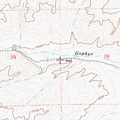 Topographic Map of Gopher Creek Well, NV