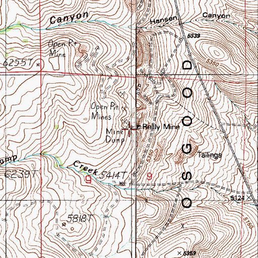 Topographic Map of Reilly Mine, NV