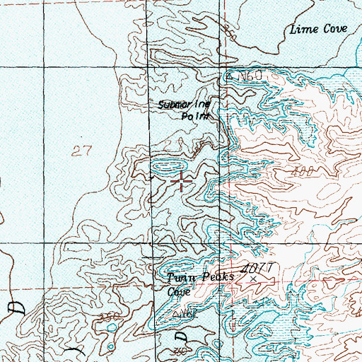 Topographic Map of Whale Rock (historical), NV