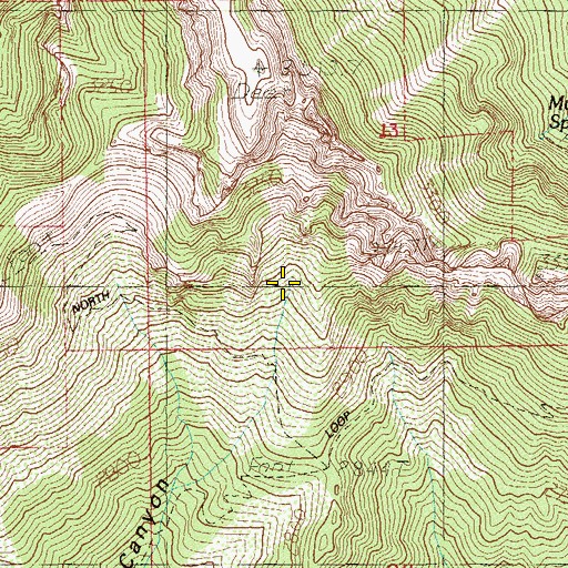 Topographic Map of Cave Spring, NV