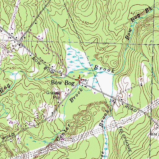 Topographic Map of Bow Bog, NH