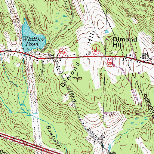 Topographic Map of Dimond Hill, NH