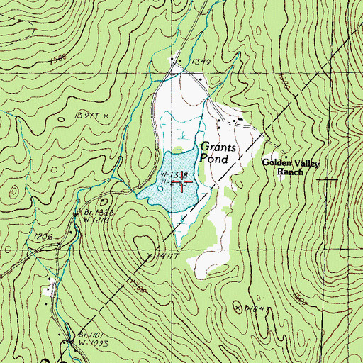Topographic Map of Grants Pond, NH