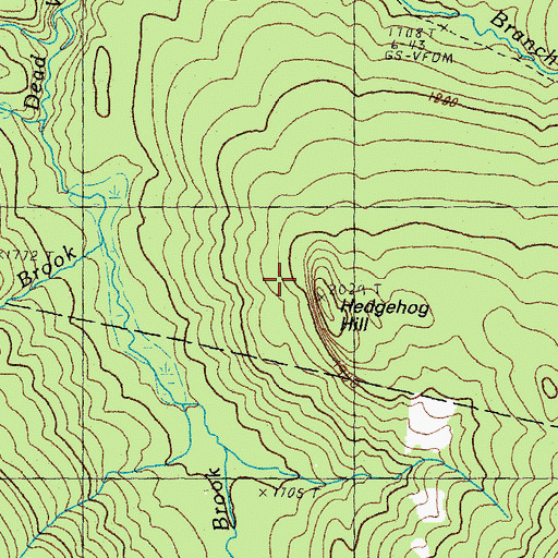 Topographic Map of Hedgehog Hill, NH