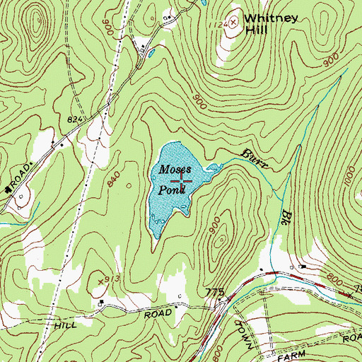 Topographic Map of Moses Pond, NH