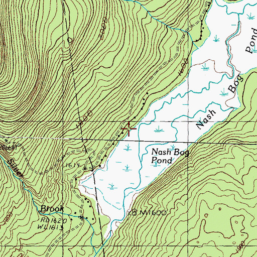 Topographic Map of Number Three Brook, NH