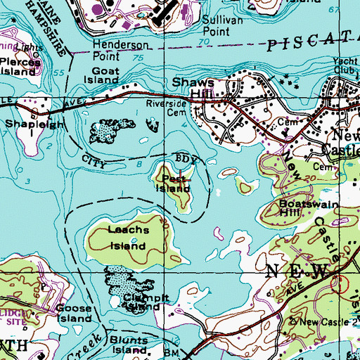 Topographic Map of Pest Island, NH