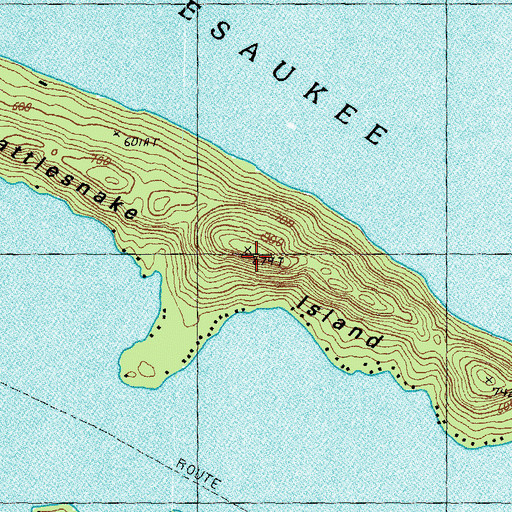 Topographic Map of Rattlesnake Island, NH