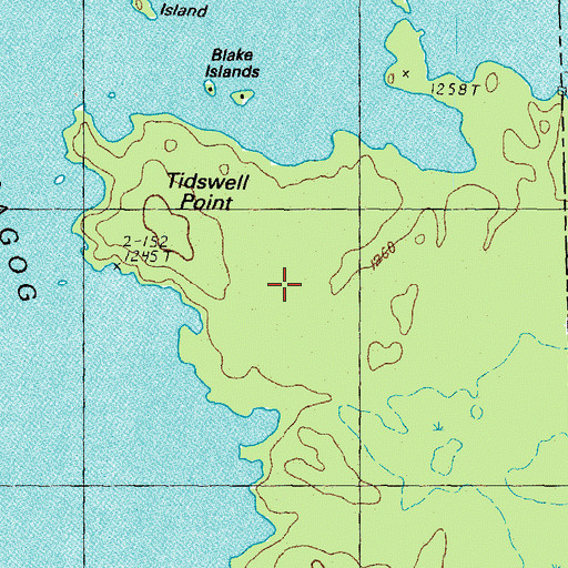 Topographic Map of Tidswell Point, NH