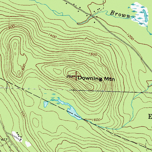 Topographic Map of Downing Mountain, NH
