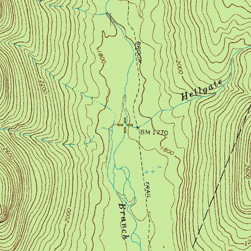 Topographic Map of Hellgate Brook, NH