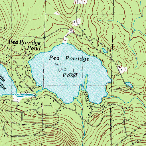 Topographic Map of Pea Porridge Pond, NH