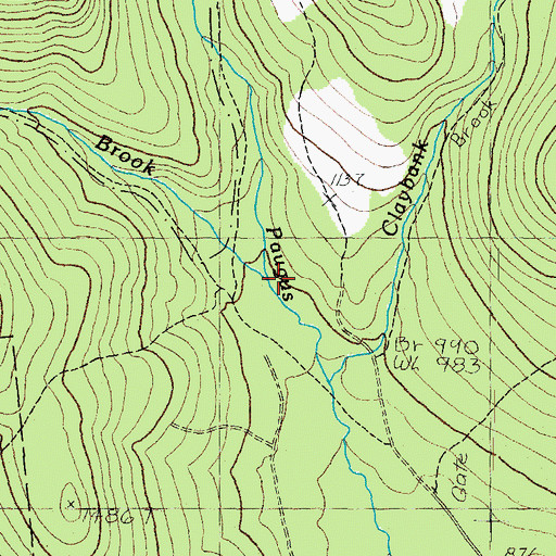 Topographic Map of Whitin Brook, NH