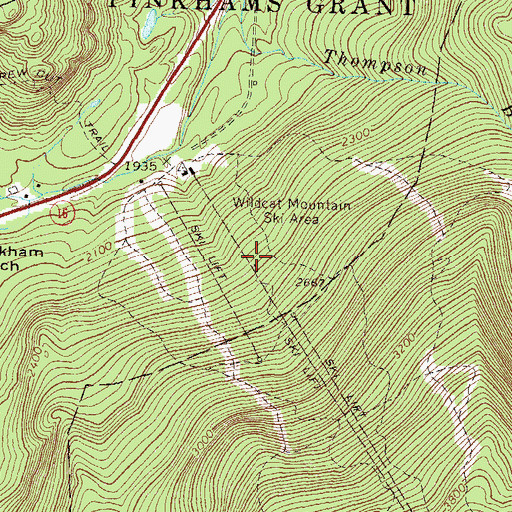 Topographic Map of Wildcat Mountain Ski Area, NH