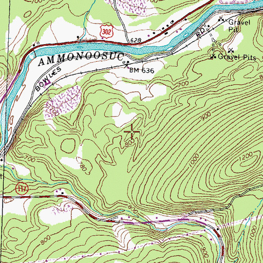 Topographic Map of Town of Lisbon, NH