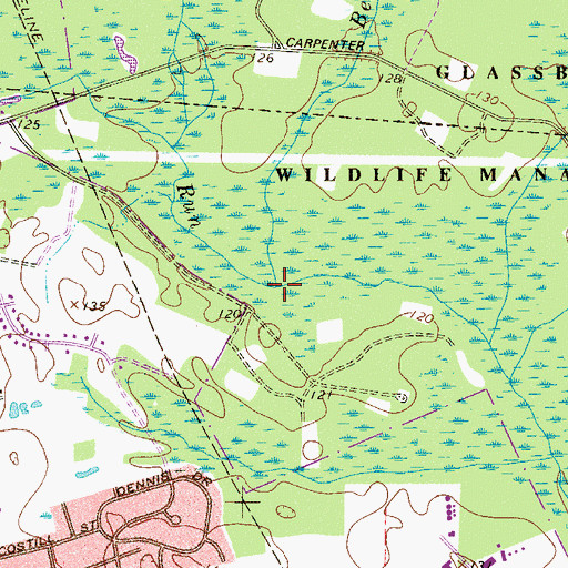 Topographic Map of Beaverdam Branch, NJ