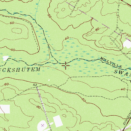 Topographic Map of Buckshutem Swamp, NJ