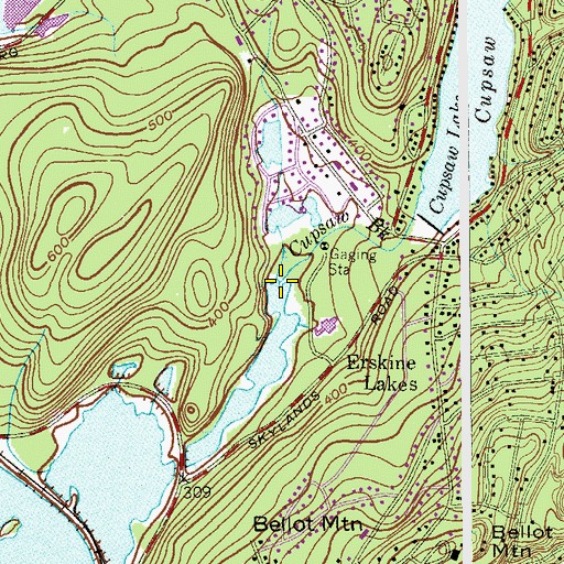 Topographic Map of Cupsaw Brook, NJ