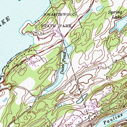 Topographic Map of Duck Pond, NJ